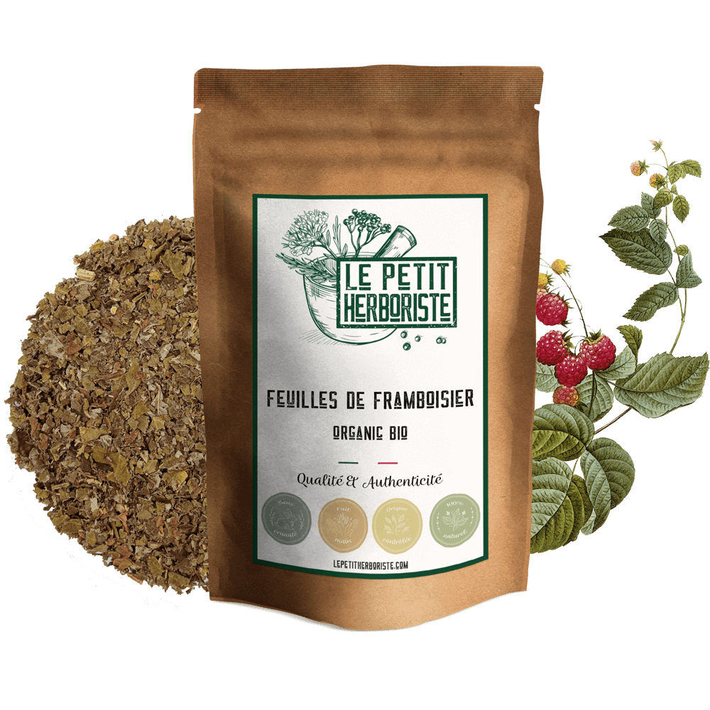 Feuilles de framboisier (tisane) - Achat, utilisation et bienfaits